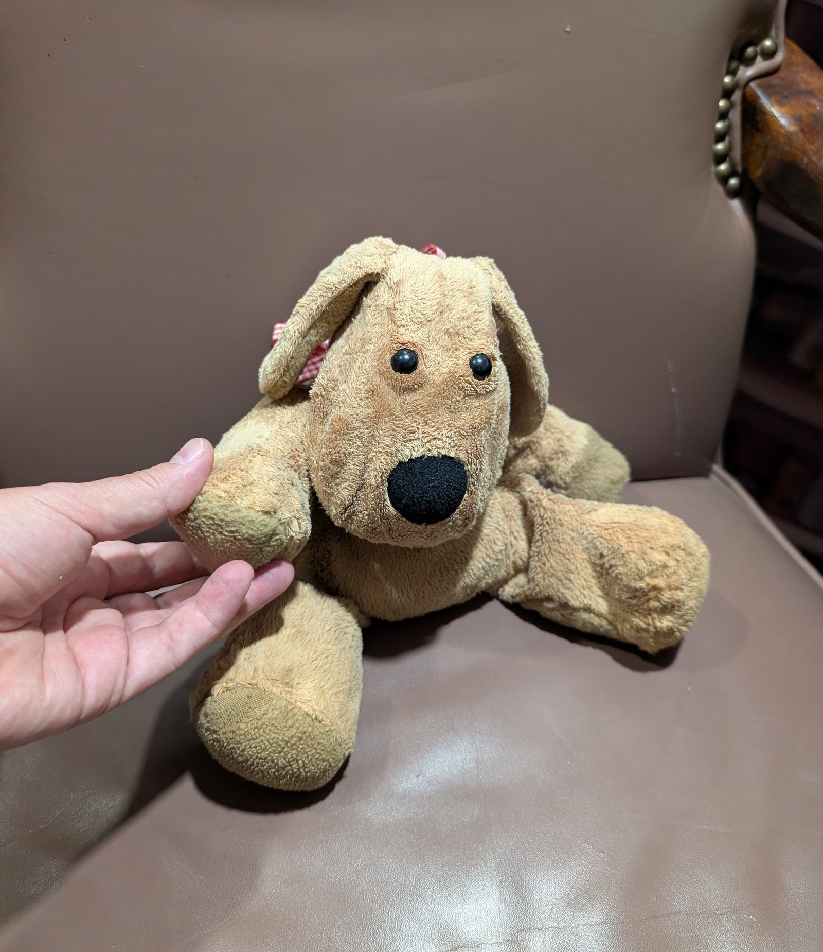 A Beloved Plush Dog Gets His Bounce Back: Before & After
